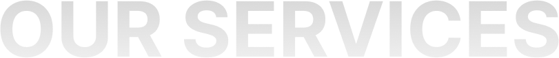 OUR SERVICES.png
